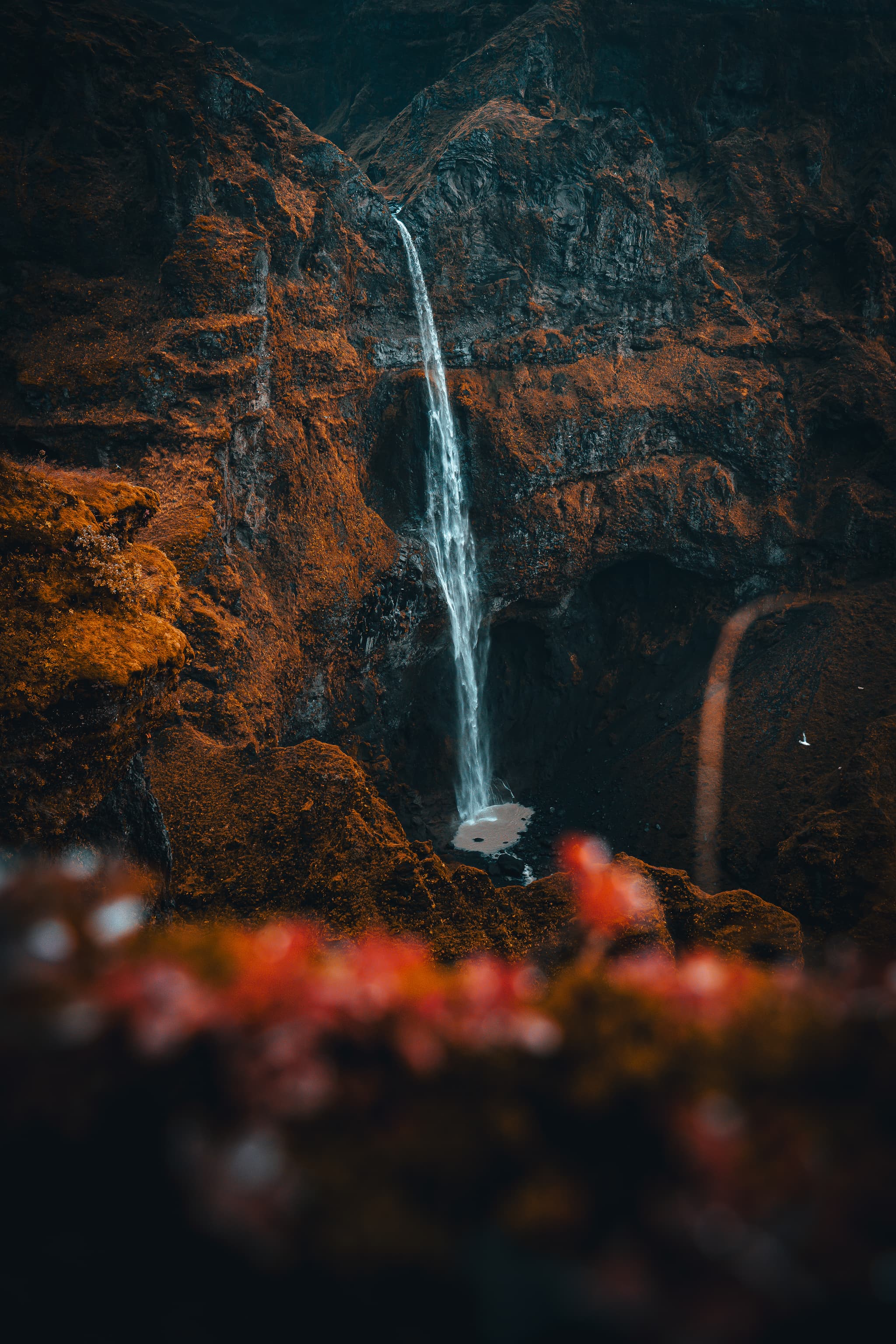 Islandia 8