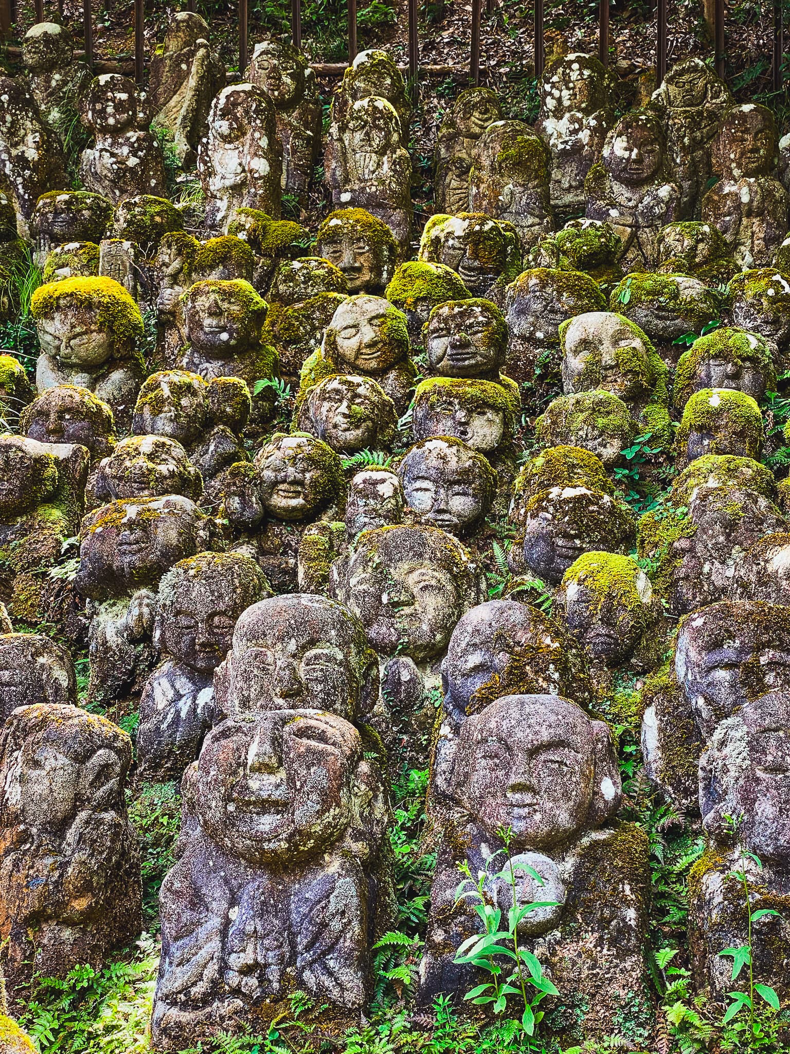 Japón - Imagen 5