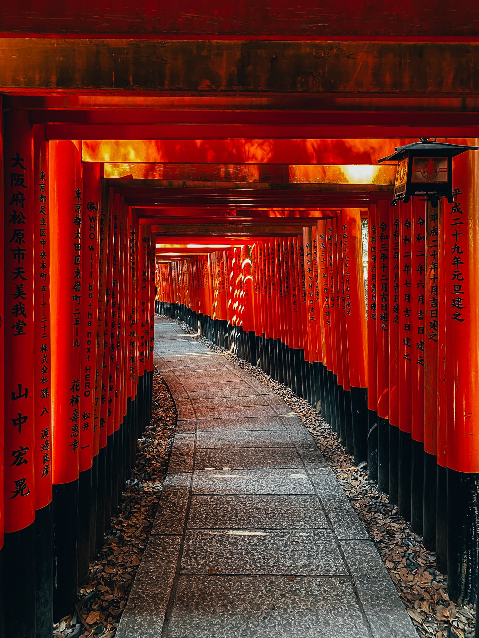 Japón - Imagen 6